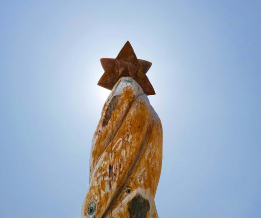 Understanding Kaitiakitanga: Nurturing Our Taiao (Environment) with Mātauranga Māori - XMT Creations